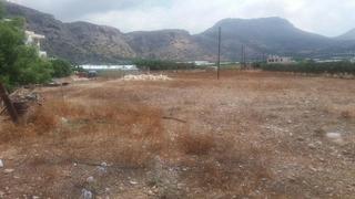 Οικόπεδο 5.300 τ.μ. για πώληση, Ν. Λασιθίου, Λεύκη-thumb-7