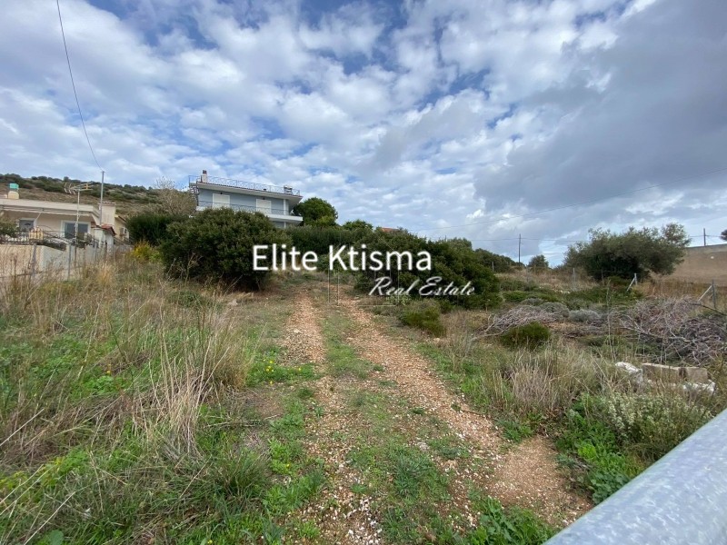 Αγροτεμάχια 500τ.μ. για πώληση-Κερατέα » Βένιο δασκαλειού