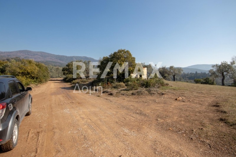 Αγροτεμάχια 13.800τ.μ. για πώληση-Μηλιές » Σταυροδρόμι