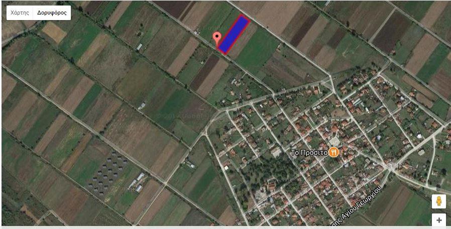 Αγροτεμάχια 6.000 τ.μ. για πώληση, Ν. Καρδίτσας, Μητρόπολη