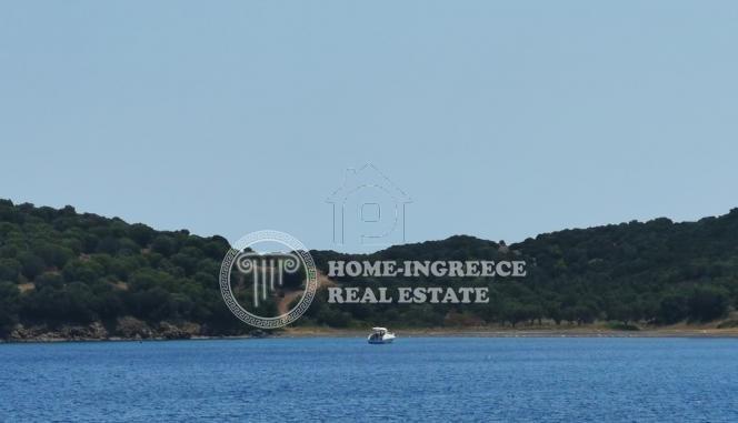 Αγροτεμάχια 27.000 τ.μ. πρός πώληση, Χαλκιδική, Παλλήνη