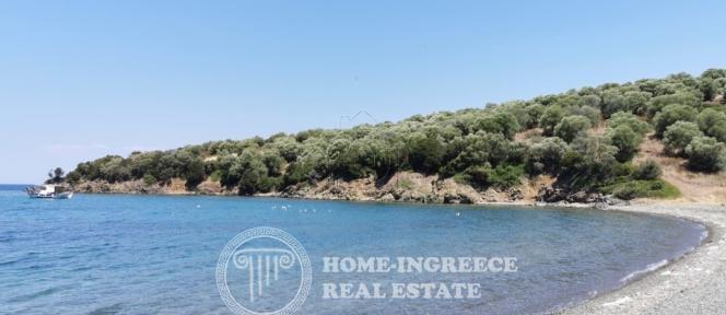 Αγροτεμάχια 27.000 τ.μ. πρός πώληση, Χαλκιδική, Παλλήνη