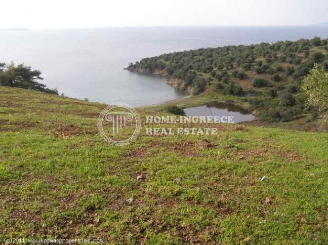 Αγροτεμάχια 27.000 τ.μ. πρός πώληση, Χαλκιδική, Παλλήνη