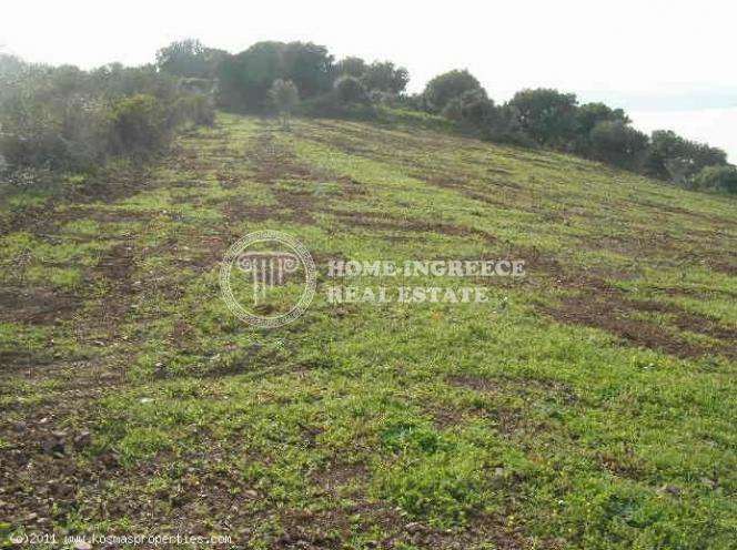 Αγροτεμάχια 27.000 τ.μ. πρός πώληση, Χαλκιδική, Παλλήνη