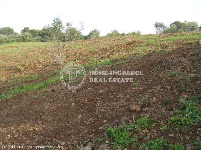 Αγροτεμάχια 27.000 τ.μ. πρός πώληση, Χαλκιδική, Παλλήνη