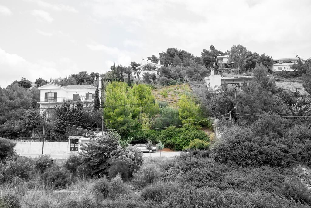 Οικόπεδο 1.040 τ.μ. προς πώληση, Νέος Βουτζάς