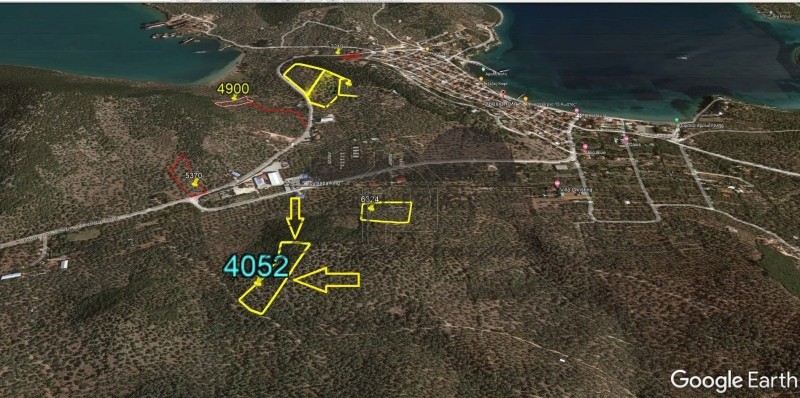Αγροτεμάχια 4.052τ.μ. για πώληση-Σούρπη » Αμαλιάπολη