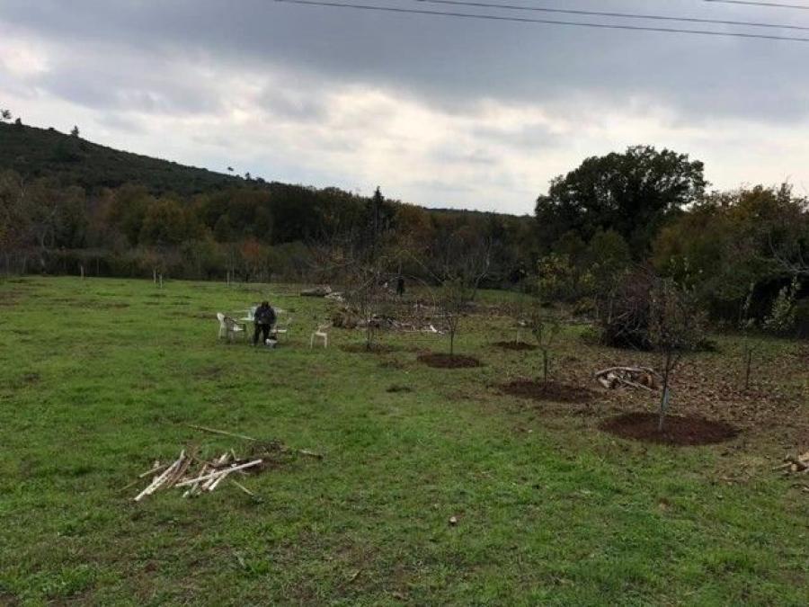 Αγροτεμάχια 4.000 τ.μ. πρός πώληση, Μαγνησία, Αφέτες
