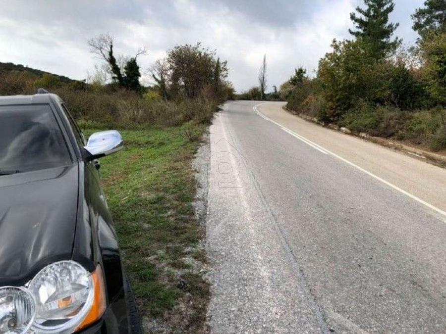 Αγροτεμάχια 4.000 τ.μ. πρός πώληση, Μαγνησία, Αφέτες