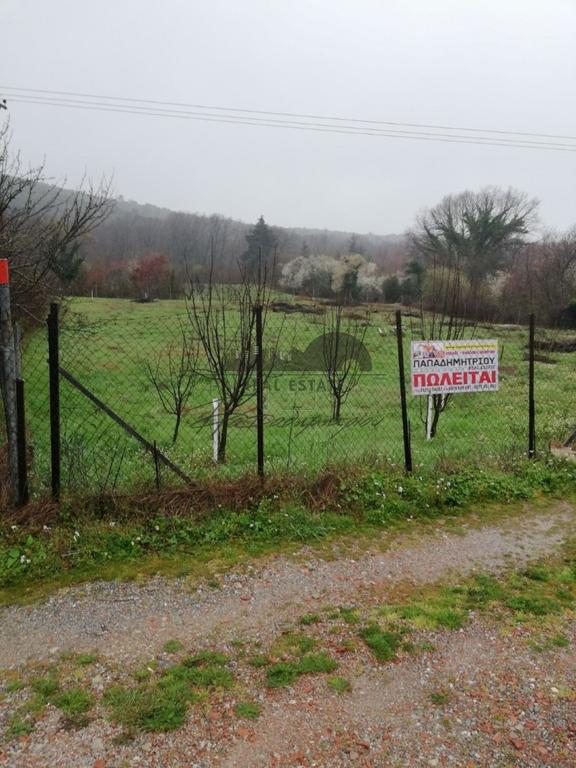 Αγροτεμάχια 4.000 τ.μ. πρός πώληση, Μαγνησία, Αφέτες