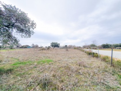 Land plot 800sqm for sale-Thasos » Limenaria