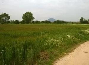 Αγροτεμάχια 6.600 τ.μ. προς πώληση, Νικομηδινό