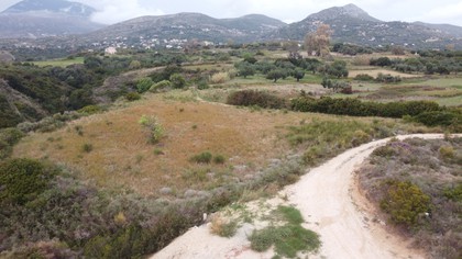 Land plot 10.000sqm for sale-Kefalonia » Eleioi-Pronoi