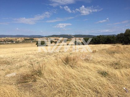 Land plot 4.882sqm for sale-Alexandroupoli » Apalos