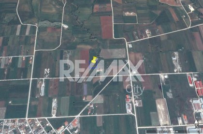Land plot 4.000sqm for sale-Alexandroupoli » Apalos