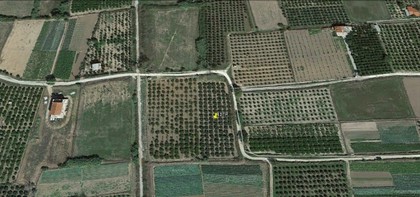 Αγροτεμάχια 4.000τ.μ. για πώληση-Λέρνα » Σκαφιδάκι