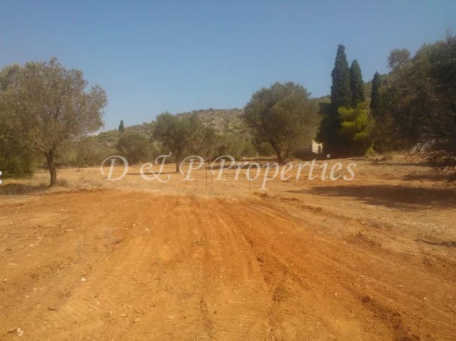 Αγροτεμάχια 17.500τ.μ. για πώληση-Καλύβια θορικού » Λαγονήσι