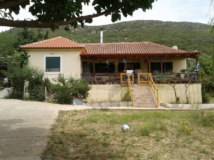 Οικόπεδο 4.200τ.μ. για πώληση-Φαρές » Κάτω πλατανόβρυση