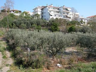Οικόπεδο 1.157 τ.μ. για πώληση