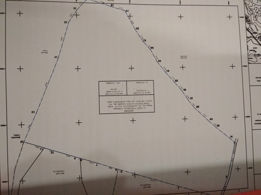Αγροτεμάχια 20.000 τ.μ. για πώληση