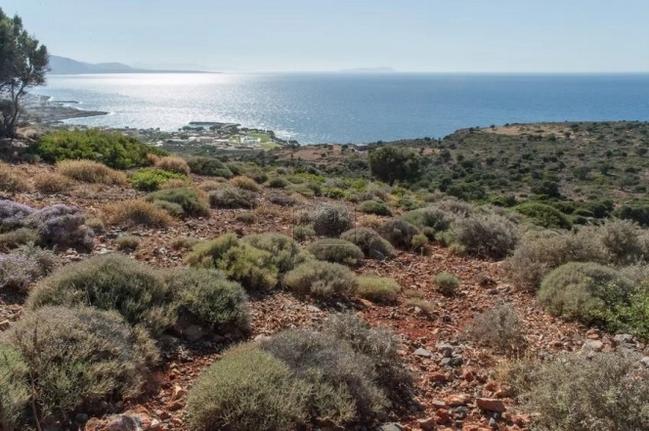 Land plot 13.400 sqm for sale, Lasithi Prefecture, Vrachasi