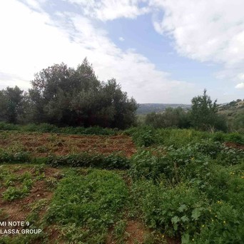 Land plot 1.500sqm for sale-Kefalonia » Leivatho