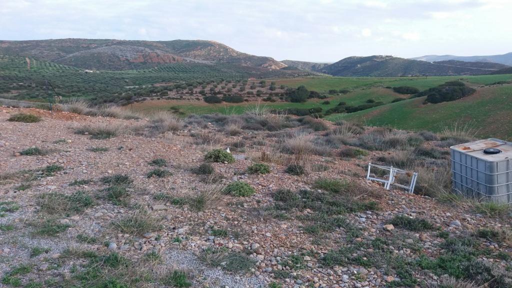 Οικόπεδο 4.005 τ.μ. προς πώληση, Κουρεμένος Ιτάνου