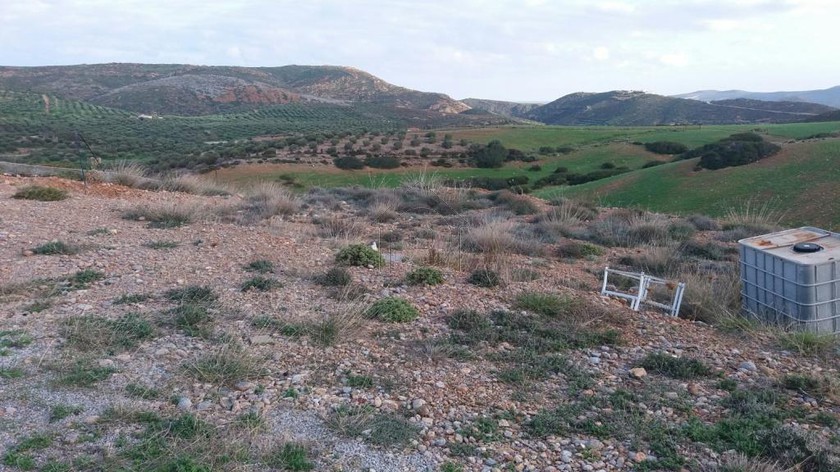 Land plot 4.005sqm for sale-Itanos » Kouremenos