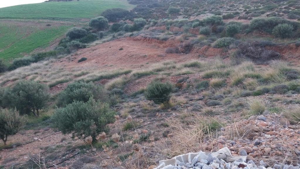 Οικόπεδο 4.005 τ.μ. προς πώληση, Κουρεμένος Ιτάνου