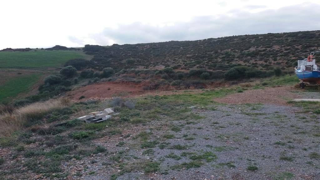 Οικόπεδο 4.005 τ.μ. προς πώληση, Κουρεμένος Ιτάνου