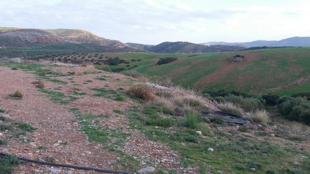 Οικόπεδο 4.005 τ.μ. προς πώληση, Κουρεμένος Ιτάνου