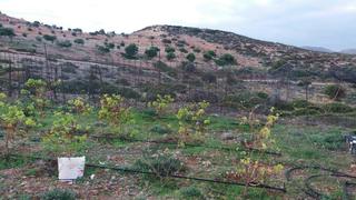 Οικόπεδο 4.005 τ.μ. προς πώληση, Κουρεμένος Ιτάνου-thumb-17