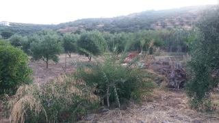 Μονοκατοικία 45 τ.μ. για πώληση, Ν. Λασιθίου, Σητεία-thumb-6