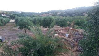 Μονοκατοικία 45 τ.μ. για πώληση, Ν. Λασιθίου, Σητεία-thumb-10