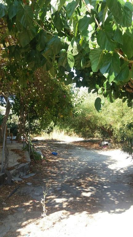 Μονοκατοικία 45 τ.μ. προς πώληση, Πισκοκέφαλο