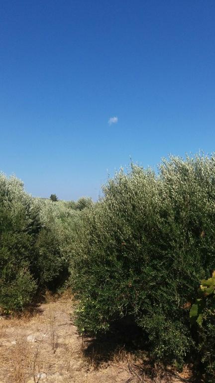 Μονοκατοικία 45 τ.μ. προς πώληση, Πισκοκέφαλο