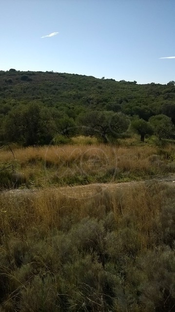 Αγροτεμάχια 52.609 τ.μ. για πώληση