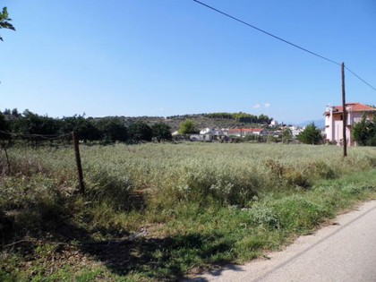 Land plot 2.300sqm for sale-Nea Tirintha » Agios Adrianos