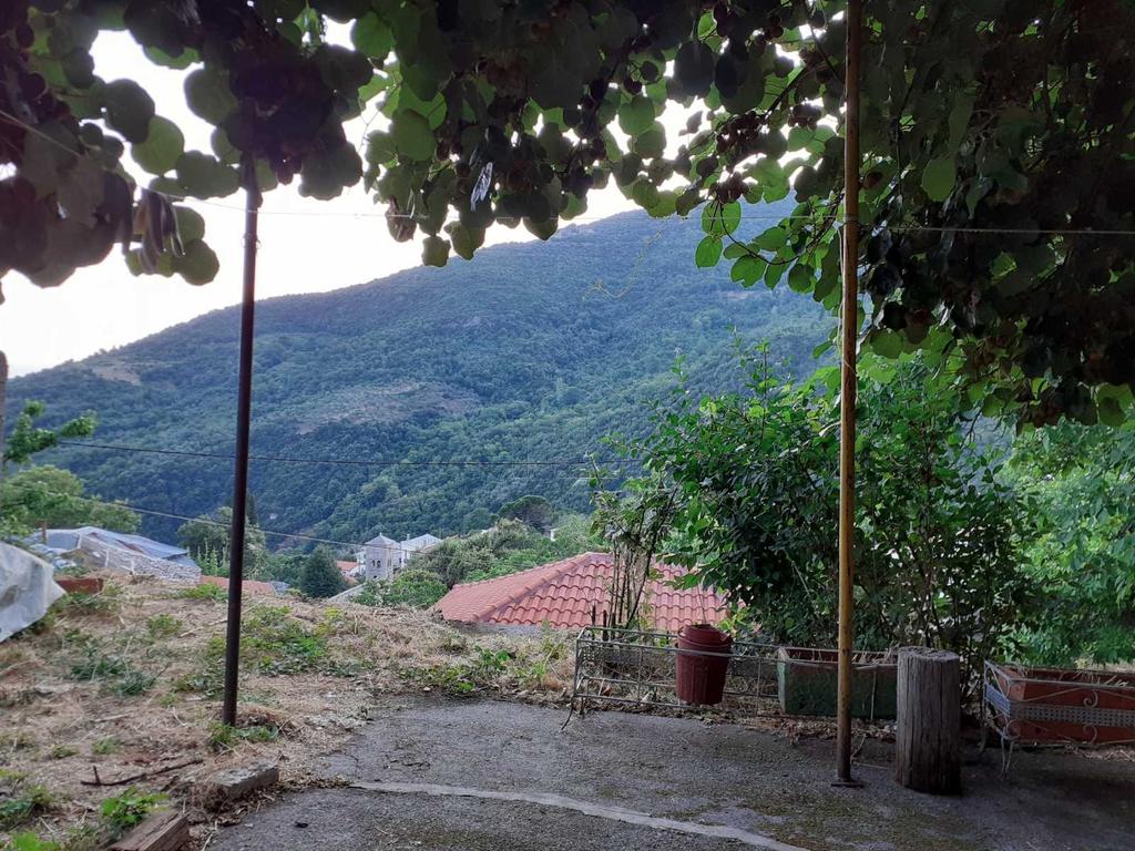 Μονοκατοικία 250 τ.μ. πρός πώληση, Μαγνησία, Αγριά