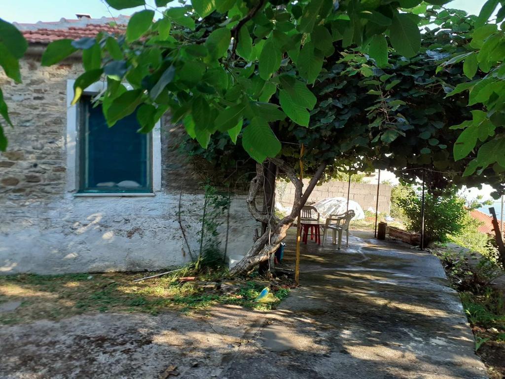 Μονοκατοικία 250 τ.μ. πρός πώληση, Μαγνησία, Αγριά
