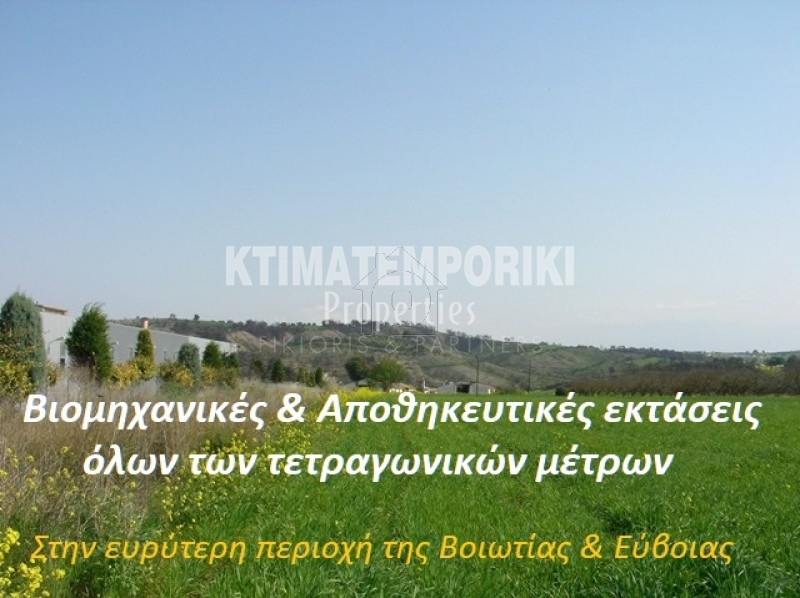 Αγροτεμάχια 12.000 τ.μ. για πώληση