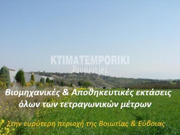 Αγροτεμάχια 12.000 τ.μ. για πώληση, Εύβοια, Αυλίδα