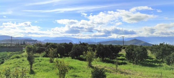 Land plot 1.240 sqm for sale, Argolis, Nea Tirintha