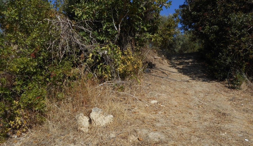 Land plot 850 sqm for sale