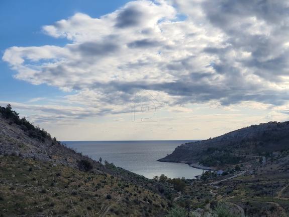 Αγροτεμάχια 11.000 τ.μ. για πώληση, Ν. Καβάλας, Θάσος