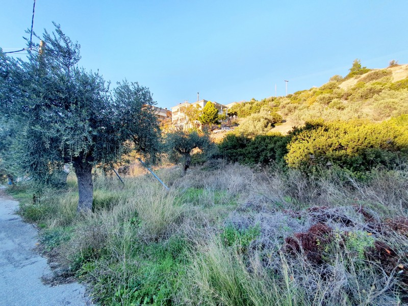 Land plot 257 sqm for sale, Kavala Prefecture, Thasos