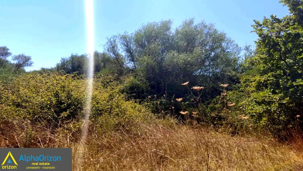 Αγροτεμάχια 100.000 τ.μ. πρός πώληση, Λακωνία, Κροκεές