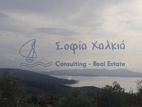 Αγροτεμάχια 21.000τ.μ. για πώληση-Αφέτες » Κέντρο