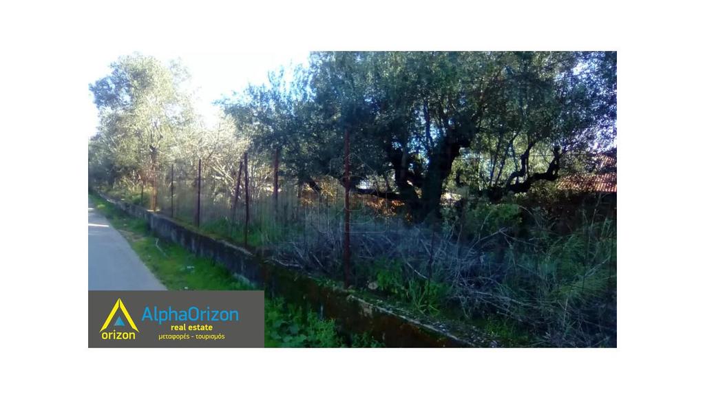 Αγροτεμάχια 22.000 τ.μ. πρός πώληση, Μεσσηνία, Μεσσήνη