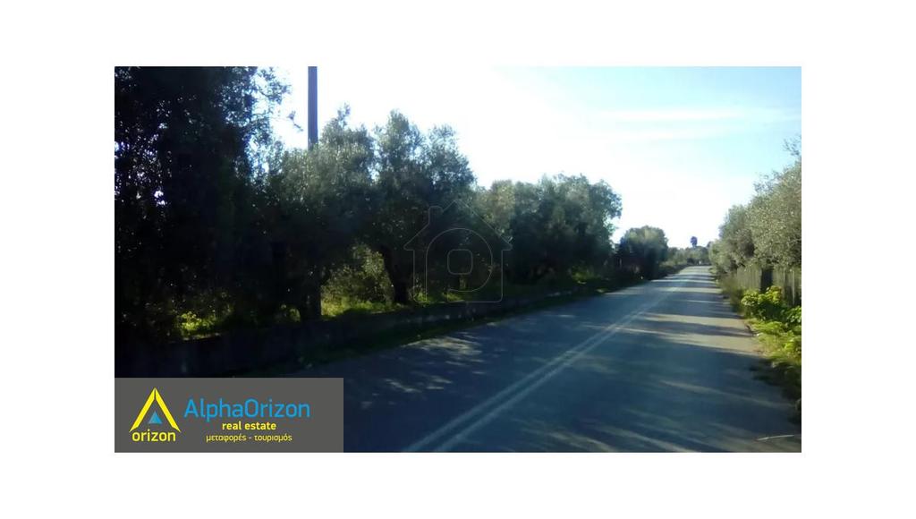 Αγροτεμάχια 22.000 τ.μ. πρός πώληση, Μεσσηνία, Μεσσήνη